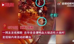 虫子爆料视频,揭秘视频背后的惊人真相